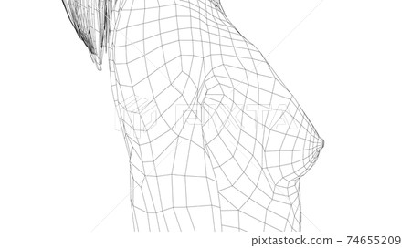 Wireframe female breast. Close-up view 74655209