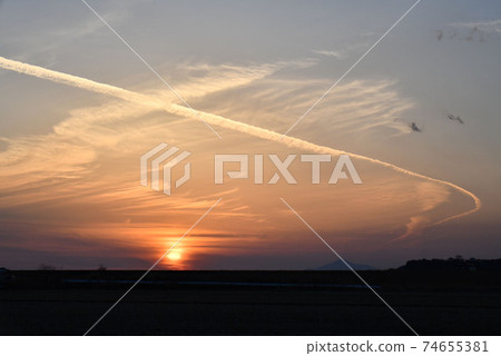 Evening landscape Evening landscape 74655381