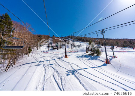 Shiga Kogen Ski Resort (February 2021) / Landscape Story (Winter in Shiga Kogen) Shiga Kogen Ski Resort (February 2021) / Landscape Story (Winter in Shiga Kogen) 74656616