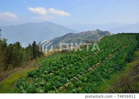 山上風景-白蘭部落,台灣 山上風景-白蘭部落,台灣 74656911