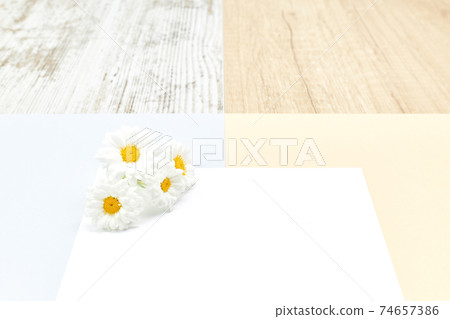 Empty white cards with daisies for invitations. Party concept Empty white cards with daisies for invitations. Party concept 74657386