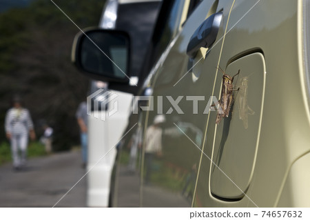 開車休息 74657632