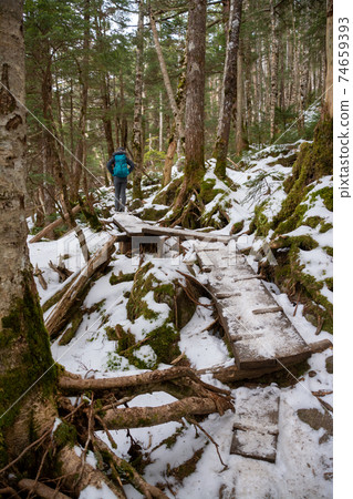 白雪覆蓋的八岳森林，木板路和山間小道。一個藍色紮克登山人的後面看法。山姑娘。 74659393