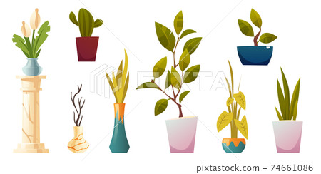Plants in pots, potted houseplants and flowers 74661086
