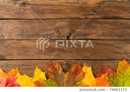 Autumn leaves on rustic wooden table with copyspace. Flat lay 74661153