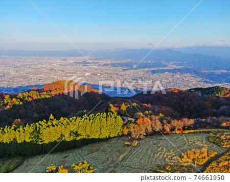 秋季孔戈·生駒基森國家紀念碑“大和山桂木山” 74661950