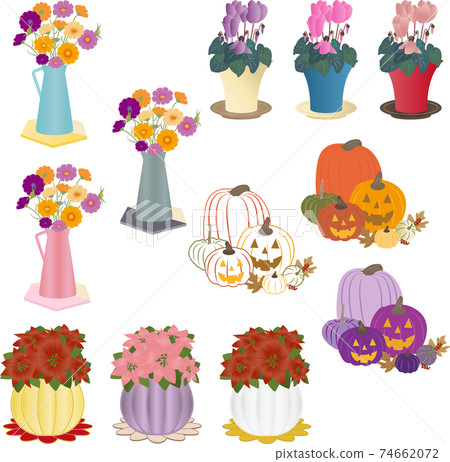 多彩的季節花草 74662072