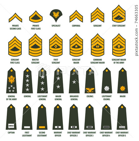 USA army enlisted ranks chevrons with insignia 74663305