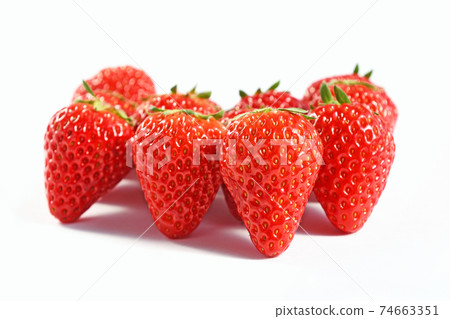 Ichigo（紅臉頰） 74663351