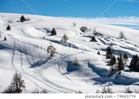 Winter Landscape of the Lessinia Plateau - Altopiano della Lessinia Veneto Italy Winter Landscape of the Lessinia Plateau - Altopiano della Lessinia Veneto Italy 74663774