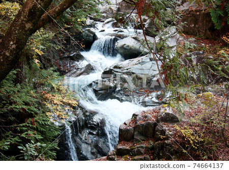 Tsukechikyo 74664137