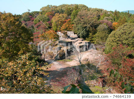 岐阜樹苗城堡遺址 岐阜樹苗城堡遺址 74664139