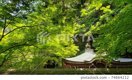 Let's relax your mind and body by visiting the old temple standing in the fresh green and bathing in a lot of negative ions ・ Early summer trip ・ Silence ・ Green Let's relax your mind and body by visiting the old temple standing in the fresh green and bathing in a lot of negative ions ・ Early summer trip ・ Silence ・ Green 74664212