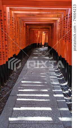 The image of Japan imagined by foreigners, a photo opportunity, a popular tourist destination, and a thousand torii gates where no one is reflected The image of Japan imagined by foreigners, a photo opportunity, a popular tourist destination, and a thousand torii gates where no one is reflected 74664213
