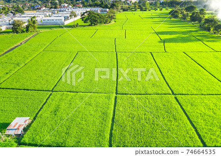 Aerial view of land and green field. Aerial view of land and green field. 74664535