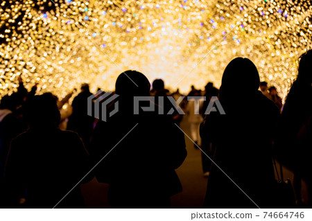 三重縣長花之鄉的照明 三重縣長花之鄉的照明 74664746