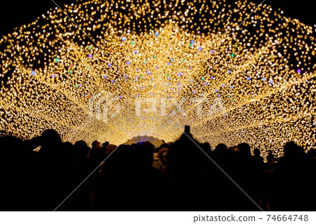 三重縣長花之鄉的照明 三重縣長花之鄉的照明 74664748