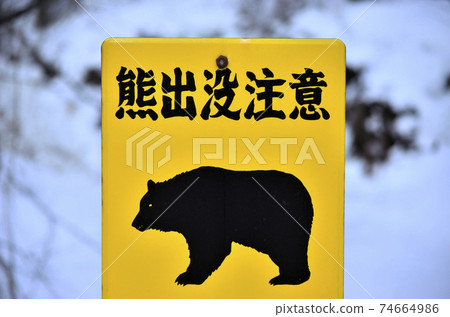 Bear appearance attention 74664986