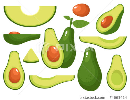 Fresh avocado vector design illustration isolated on white background Fresh avocado vector design illustration isolated on white background 74665414