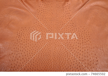 Background from a ostrich genuine leather brown 74665502