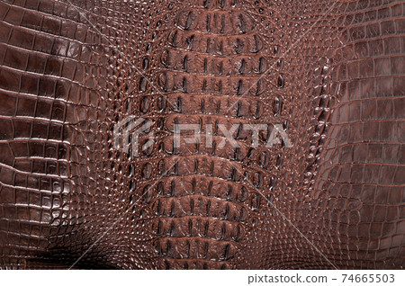 Very luxurious crocodile skin texture used in textile industry 74665503
