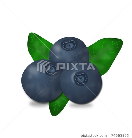 Blueberries with leaves isolated on white Blueberries with leaves isolated on white 74665535