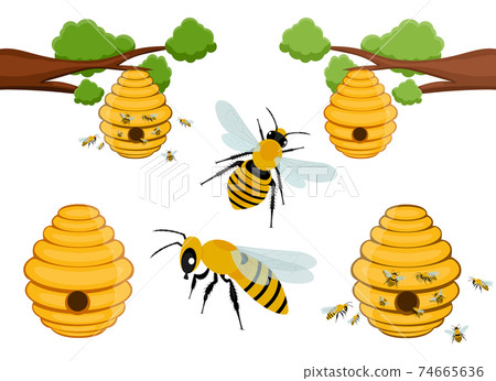 Bee tree hive vector design illustration isolated on white background Bee tree hive vector design illustration isolated on white background 74665636