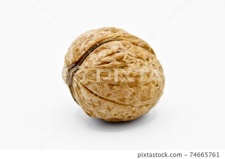 Healthy and nutritious beige brown walnut grains Healthy and nutritious beige brown walnut grains 74665761