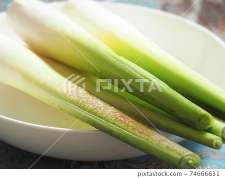 Makomodake Makomodake 74666631