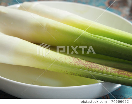 Makomodake Makomodake 74666632