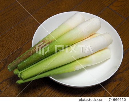 Makomodake Makomodake 74666650