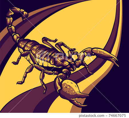 Illustration of scorpion arachnid insect. vector graphics 74667075