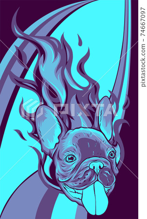 Bull Dog with Flames vector illustration design 74667097