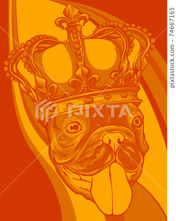 vector Dog illustration king in colored background 74667165