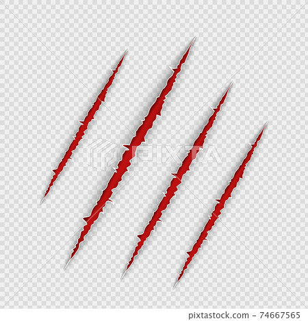 Claw scratches isolated on transparent background. Realistic scary danger claw marks, symbol of monster paw with blood. Vector illustration of red torn slashes left by tiger, lion or bear Claw scratches isolated on transparent background. Realistic scary danger claw marks, symbol of monster paw with blood. Vector illustration of red torn slashes left by tiger, lion or bear 74667565