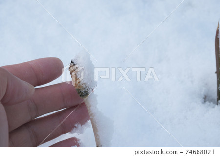 手添加到馬尾 手添加到馬尾 74668021