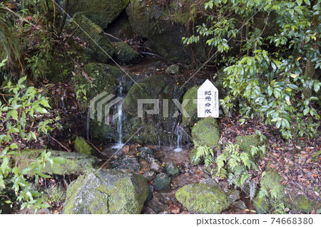 屋久島的時代生活水 74668380
