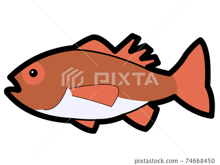 Illustration Of Nodoguro And Blackthroat Seaperch Stock Illustration