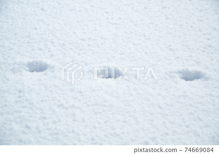 Equally spaced footprints on the white flat surface of fresh snow Equally spaced footprints on the white flat surface of fresh snow 74669084