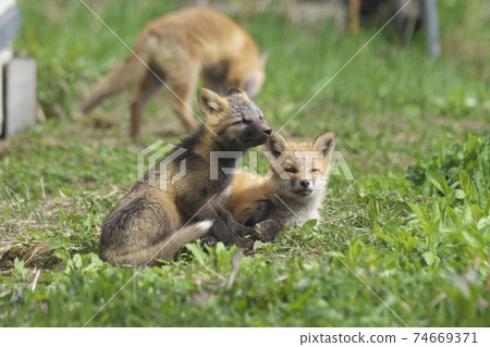 Did mom come back? 74669371