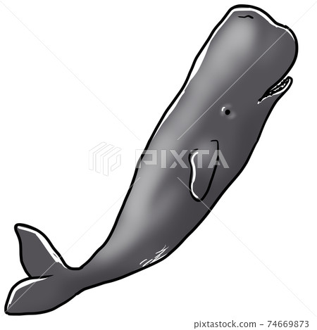 Realistic Sperm Whale Illustration Stock Illustration