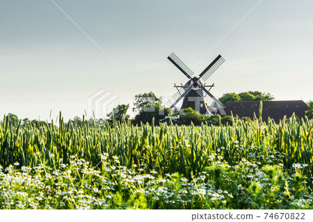 Windmill Seriemer Muehle in rural landscape, East Frisia, Lower Saxony, Germany 74670822