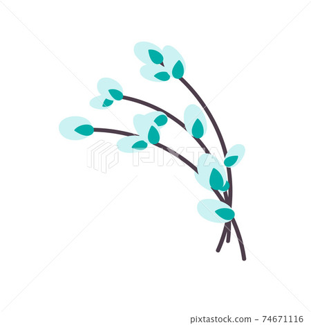 Willow twig. Easter willow.vector illustration Willow twig. Easter willow.vector illustration 74671116
