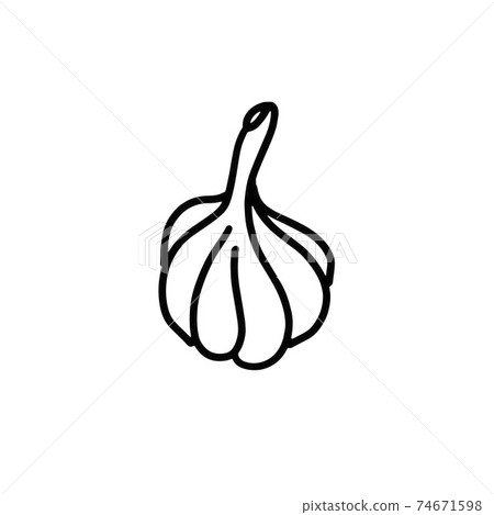 hand-drawn garlic head. Doodle style. hand-drawn garlic head. Doodle style. 74671598