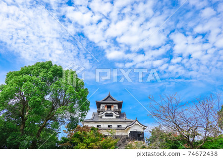 View of Inuyama Castle, a national treasure, from the ground of Honmaru <Inuyama City, Aichi Prefecture> View of Inuyama Castle, a national treasure, from the ground of Honmaru <Inuyama City, Aichi Prefecture> 74672438