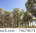 Sardinian maritime landscape 03 74674073