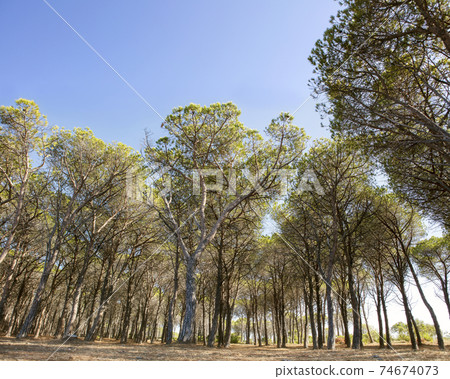 Sardinian maritime landscape 03 Sardinian maritime landscape 03 74674073