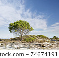 Sardinian maritime landscape 02 74674191