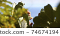 Salina prickly pear 02 74674194