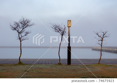 Trees and streetlamp in early fog, Wakura Onsen, Japan. Trees and streetlamp in early fog, Wakura Onsen, Japan. 74675923